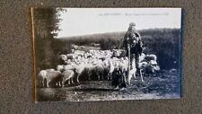 French shepherd herding for sale  CHULMLEIGH