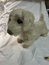 sealyham terrier for sale  ANDOVER