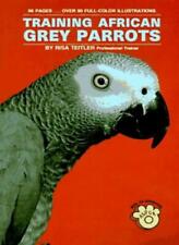 Training african grey for sale  UK