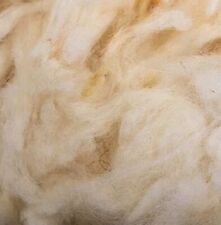 Pura lana vergine usato  Magliano De Marsi
