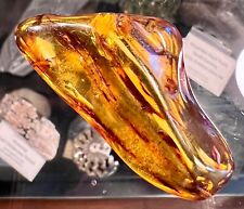 Baltic amber polished for sale  Cranston