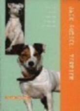 Jack russell terrier for sale  UK