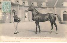 Argentan mk359 haras d'occasion  France