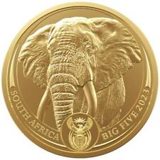 elefant gold gebraucht kaufen  DO-Brechten