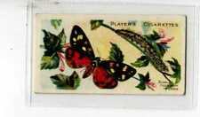 Players butterflies moths for sale  WITHERNSEA