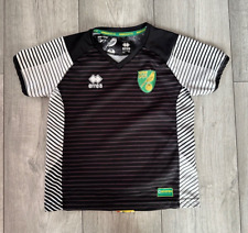 Norwich city 2017 for sale  BIGGLESWADE