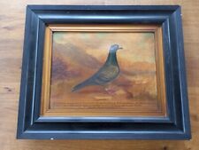 Vintage racing pigeon for sale  ABERGAVENNY