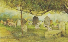 Sheep churchyard stoke for sale  COLNE