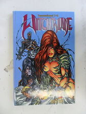 Comic witchblade sammelband gebraucht kaufen  Hassee, Molfsee