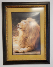 Majestic lion art for sale  Cape Coral