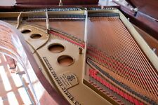 Steinway grand piano for sale  Lake Havasu City