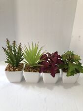 Artificial succulent plants for sale  Waynesville