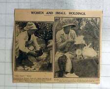 1926 women smallholdings for sale  BISHOP AUCKLAND