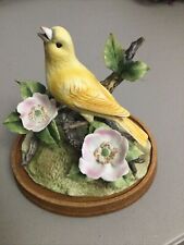 Canary andrea yellow for sale  Mooreville