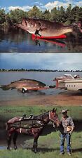 3 Chrome Postcards Fishing Fish Boat Trailer Horse Exaggerated Postcard, used for sale  Shipping to South Africa