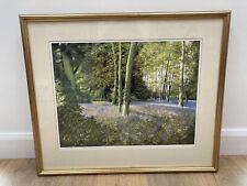 bluebell prints for sale  UTTOXETER