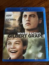 Usado, What’s Eating Gilbert Grape Blu-Ray Johnny Depp Leonardo DiCaprio Como Novo! comprar usado  Enviando para Brazil