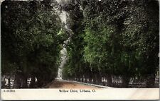 Cartão postal Urbana Ohio~Willow Drive~Dirt Road Through Trees~1907 ZIM, usado comprar usado  Enviando para Brazil