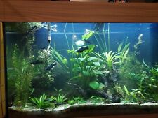 Fish tank for sale  MANCHESTER