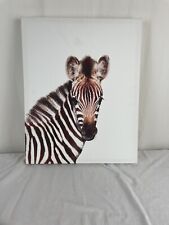 16x20 zebra canvas for sale  Madison
