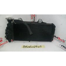 Radiador de água radiador ventilador refrigerador BMW G 650 GS 10 16 viseiras Bandy comprar usado  Enviando para Brazil