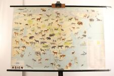 Schulwandkarte asien tierwelt gebraucht kaufen  Untersiemau