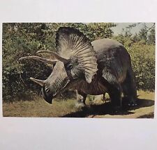 Postcard triceratops vtg for sale  Troy