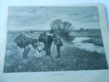 Gravure 1893 chien d'occasion  La Verpillière