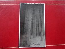 Pine wood north for sale  NORTH WALSHAM