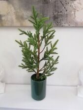 Tannenbaum topf weihnachtsbaum gebraucht kaufen  Boizenburg/ Elbe
