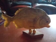 Taxidermy mounted green for sale  OSWESTRY