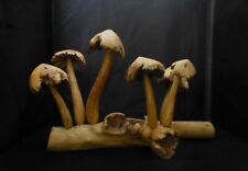 Wood carved mushroom for sale  WOOLER