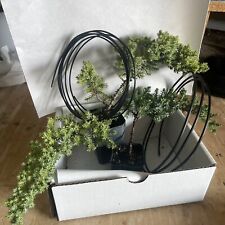 plant tree live for sale  Norco