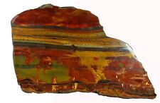 Used, 10" BRIGHT MAROON,GOLD & NAVY BLUE TIGER EYE MARRA MAMBA STROMATOLITE AUSTRALIA for sale  Shipping to South Africa