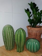 Decorazione ceramica cactus usato  Roma