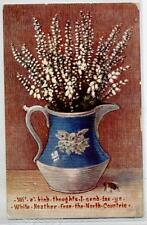 White heather flowers usato  Italia