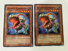 Gigantic Cephalotus - CSOC-EN025 - Common - Unlimited Edition - NM - Yugioh! X2 for sale  Shipping to South Africa