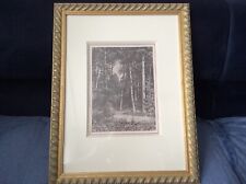 Ivan Ivanovich Shishkin  ETCHING  Glade 1885 Sheet number 20.With a glazed frame, used for sale  Shipping to South Africa