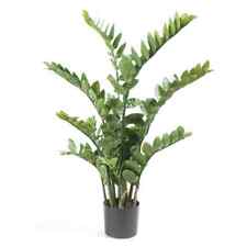 Emerald zamioculcas artificiel d'occasion  France