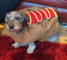 Dachshund hot dog for sale  AYR