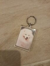 Samoyed double sided for sale  DROITWICH