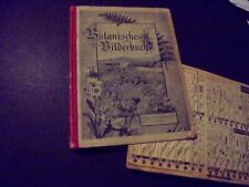 1898 buch botanisches gebraucht kaufen  Deutschland