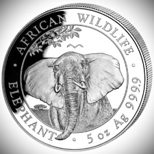 Unzen silbermünze elefant gebraucht kaufen  Schweitenkirchen