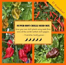 Chilli pepper seeds for sale  READING