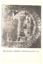 Cpa tunisie musée d'occasion  Gennevilliers