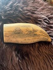 Scrimshaw sperm whales for sale  RUTHIN