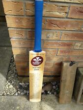 Signed surrey cricket for sale  LINCOLN
