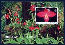 Jersey Block 2004 Nature Flowers Orchid Phragmipedium Jason Fischer MNH aXF A031 for sale  Shipping to South Africa