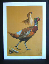 Pheasant wildlife print for sale  Fargo