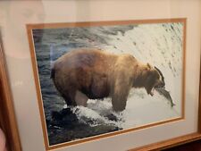 Bear photograph mark for sale  Altamonte Springs